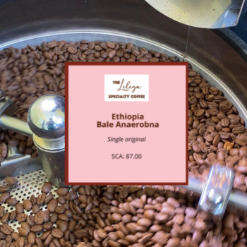 Ethiopia Bale-Anaerobna Ethiopia Bale-Anaerobna