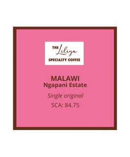Malawi Ngapani Estate Malawi Ngapani Estate