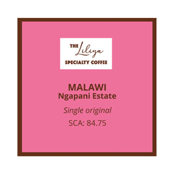 Malawi Ngapani Estate
