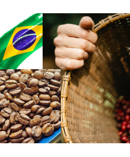 Brazil Mogiana - Colina Soave Brazil Mogiana - Colina Soave