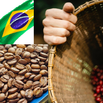 Brazil Mogiana - Colina Soave