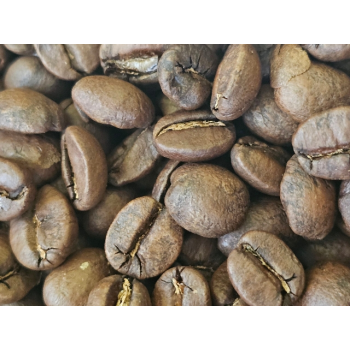Mexico-Robusta Mexico-Robusta